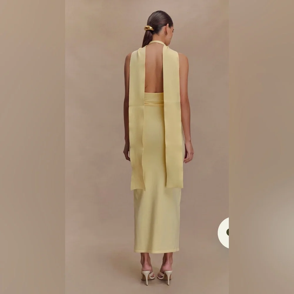 The Wynn Midi Dress - Picture 4 of 5